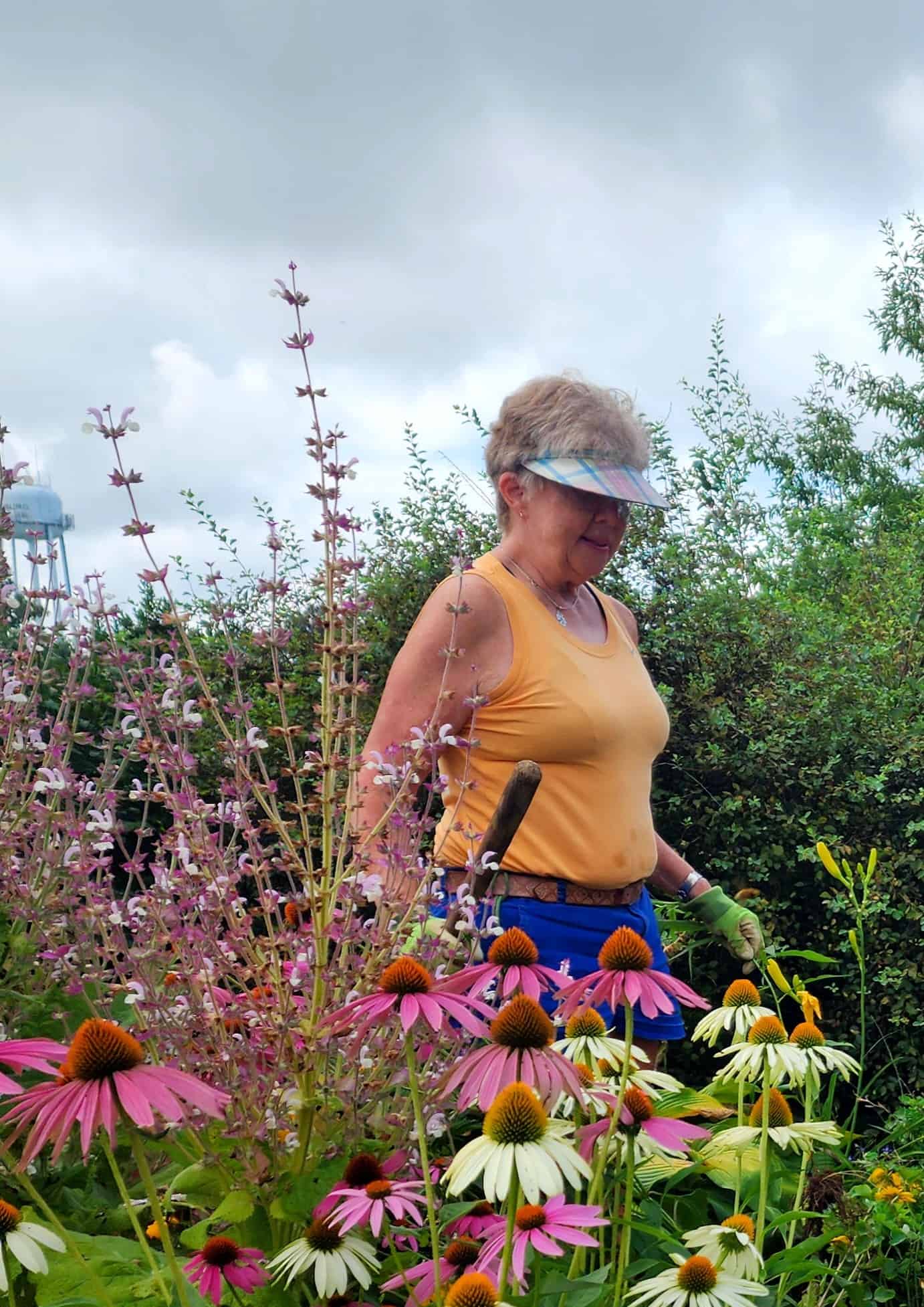 A person wearing a visor and gloves tends a vibrant garden of pink and white flowers, with trees and a water tower visible behind.